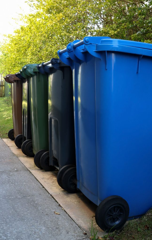 Dumpster Rental Service